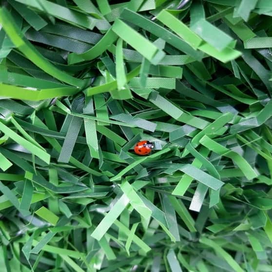 Grass Fence