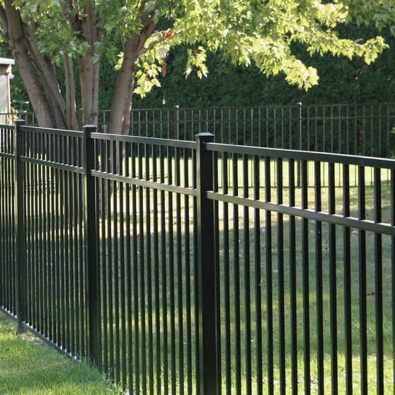 Wrought iron fence