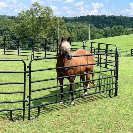 Corral Panels