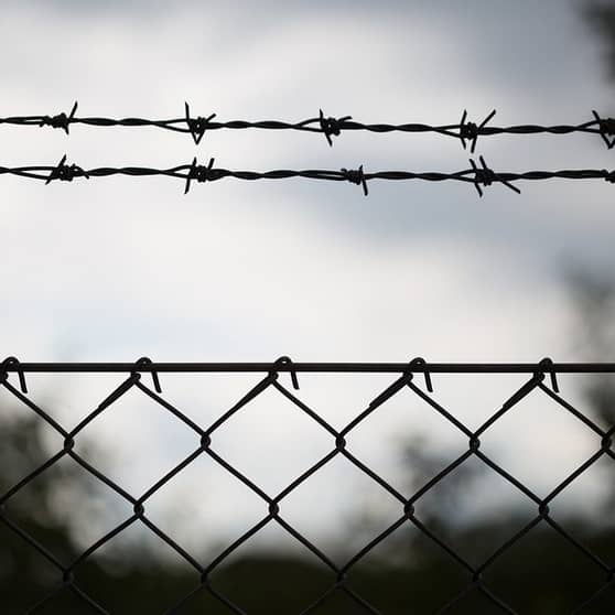 Barbed Wire