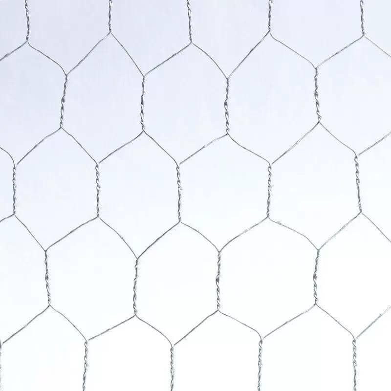 Hexagonal Wire Netting
